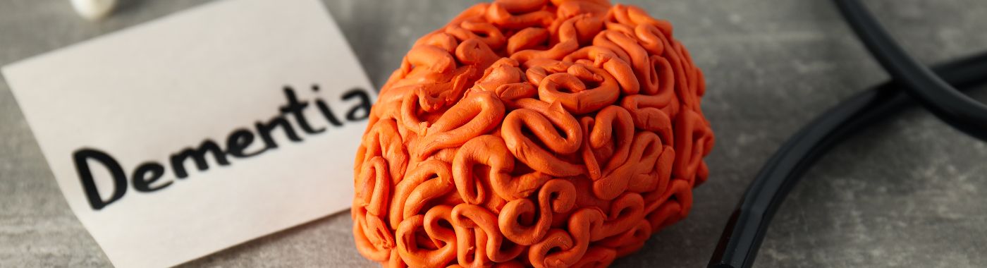 Anencephaly - Causes, Symptoms, Diagnosis, Treatment, and Prevention