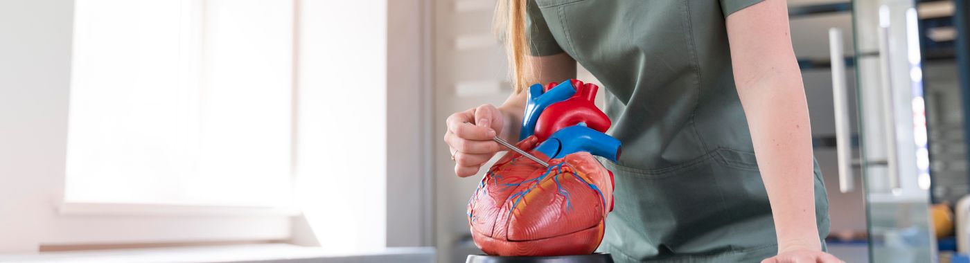 Distributive Shock - Causes, Symptoms, Diagnosis, Treatment, and Prevention