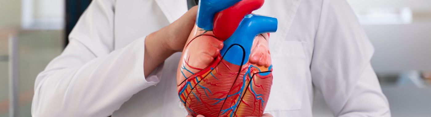 Left Atrial Enlargement - Causes, Symptoms, Diagnosis, Treatment, and Prevention