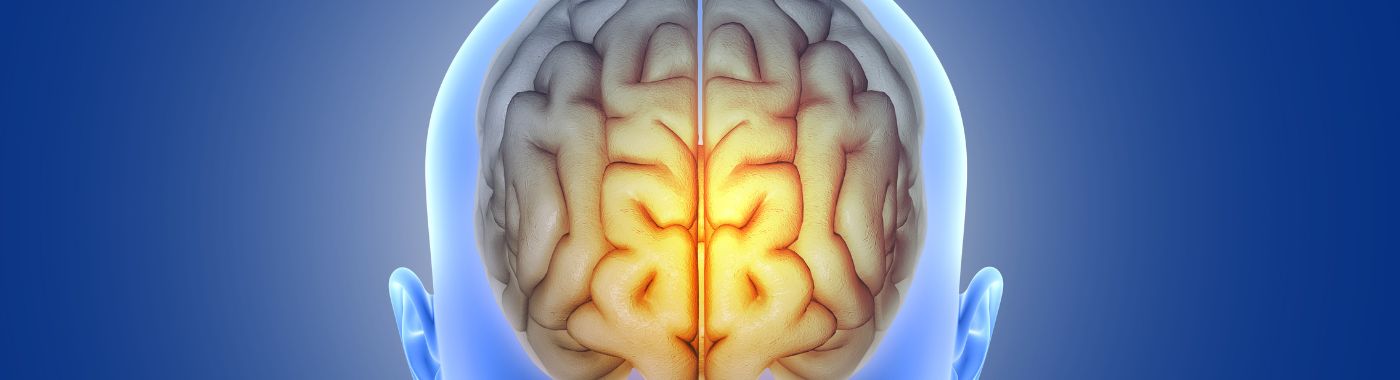 Megalencephaly - Causes, Symptoms, Diagnosis, Treatment, and Prevention