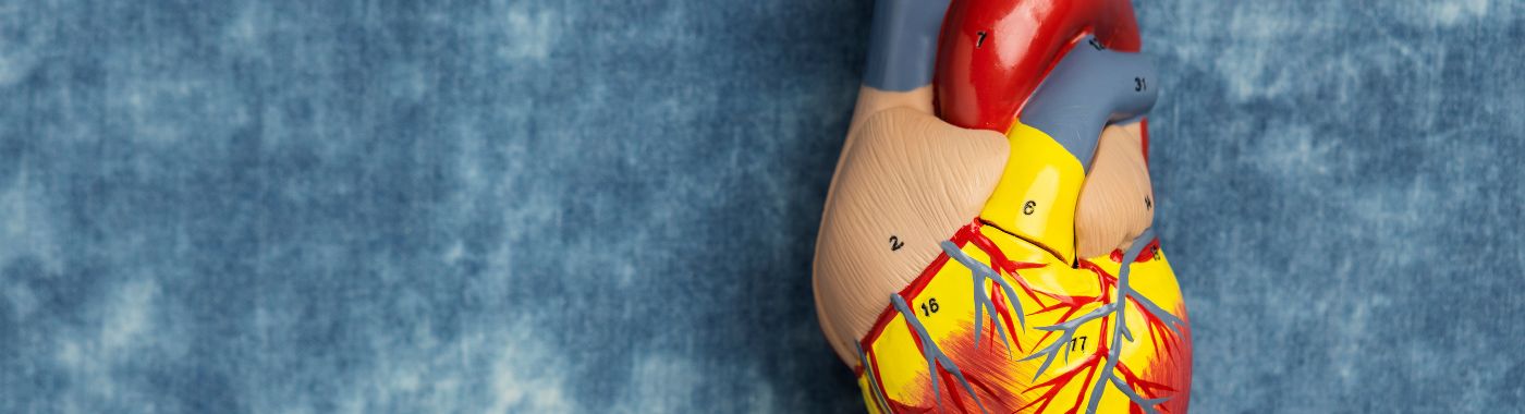 Mitral Valve Stenosis - Causes, Symptoms, Diagnosis, Treatment, and Prevention