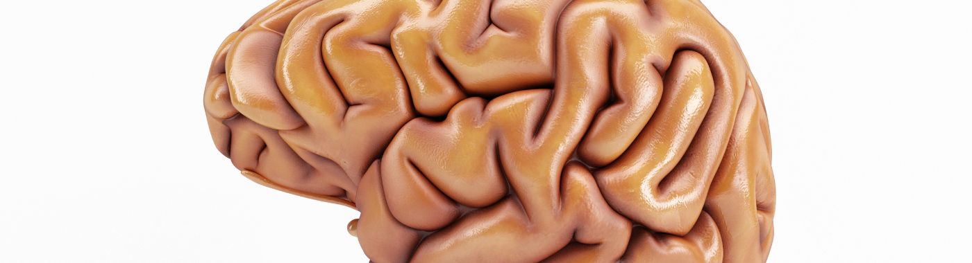 Prion Disease - Causes, Symptoms, Diagnosis, Treatment, and Prevention