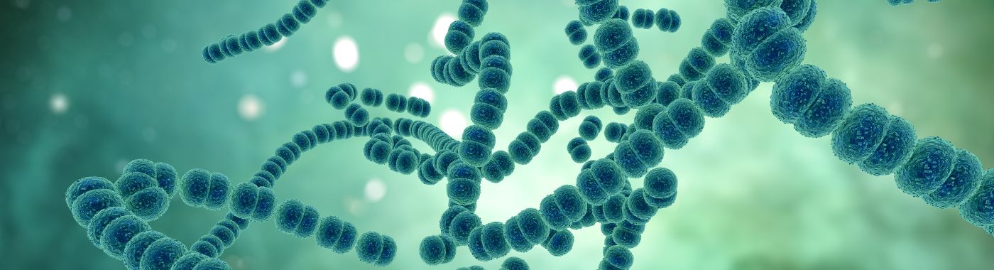 Strongyloidiasis - Causes, Symptoms, Diagnosis, Treatment, and Prevention