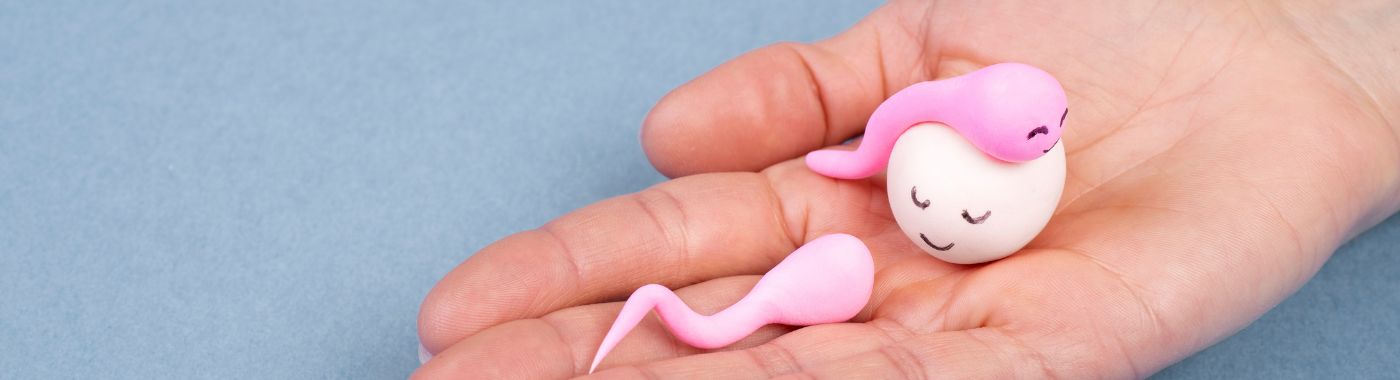 Superfetation - Causes, Symptoms, Diagnosis, Treatment, and Prevention