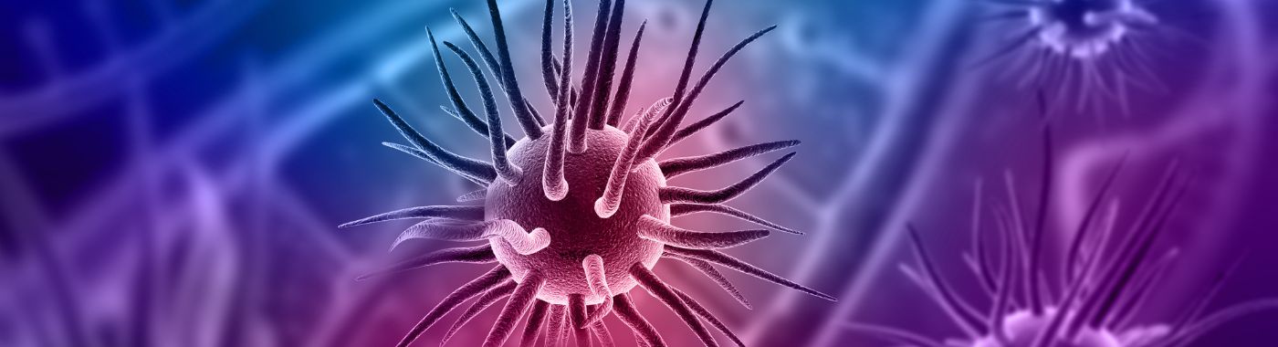 Typhus - Causes, Symptoms, Diagnosis, Treatment, and Prevention