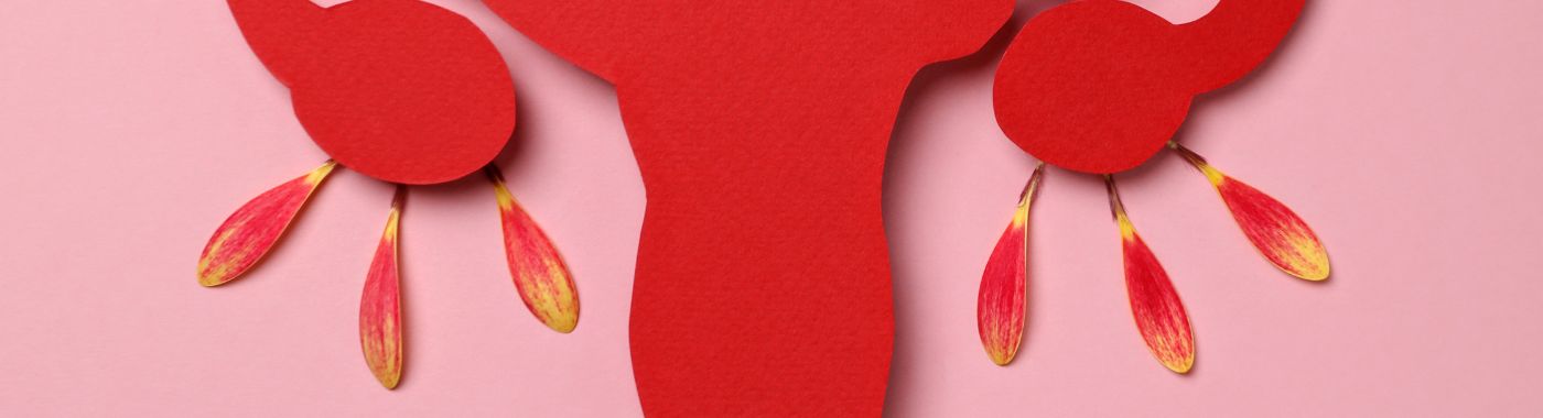 Unicornuate Uterus - Causes, Symptoms, Diagnosis, Treatment, and Prevention