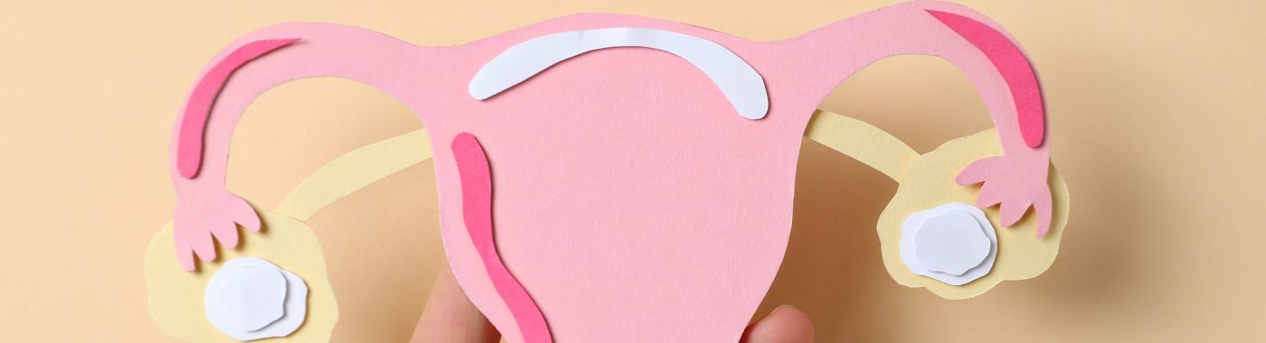 Uterus Didelphys - Causes, Symptoms, Diagnosis, Treatment, and Prevention