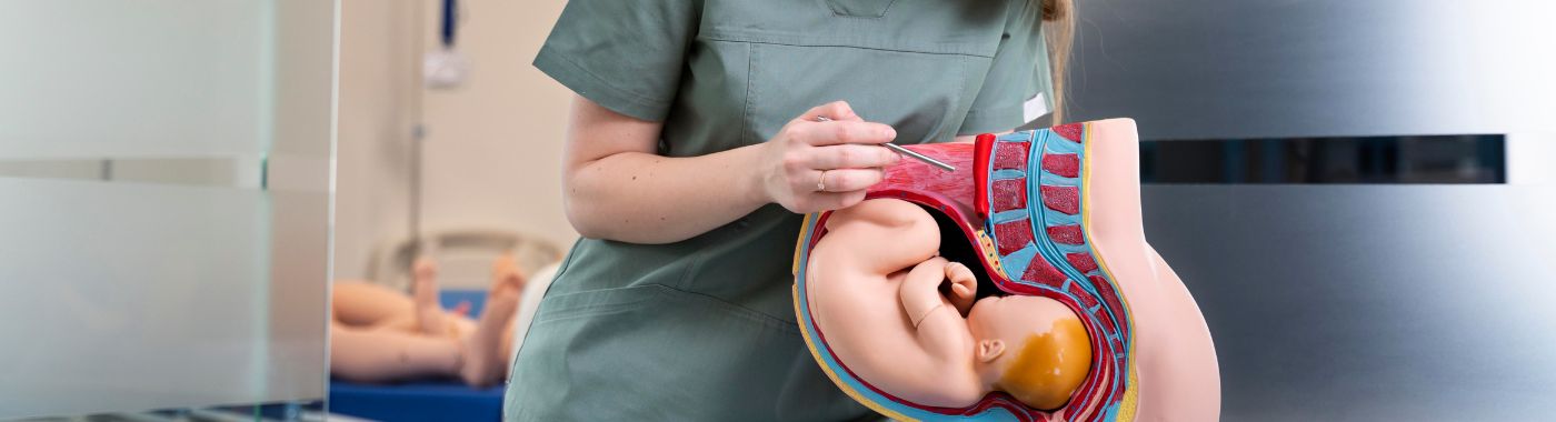 Vasa Previa - Causes, Symptoms, Diagnosis, Treatment, and Prevention