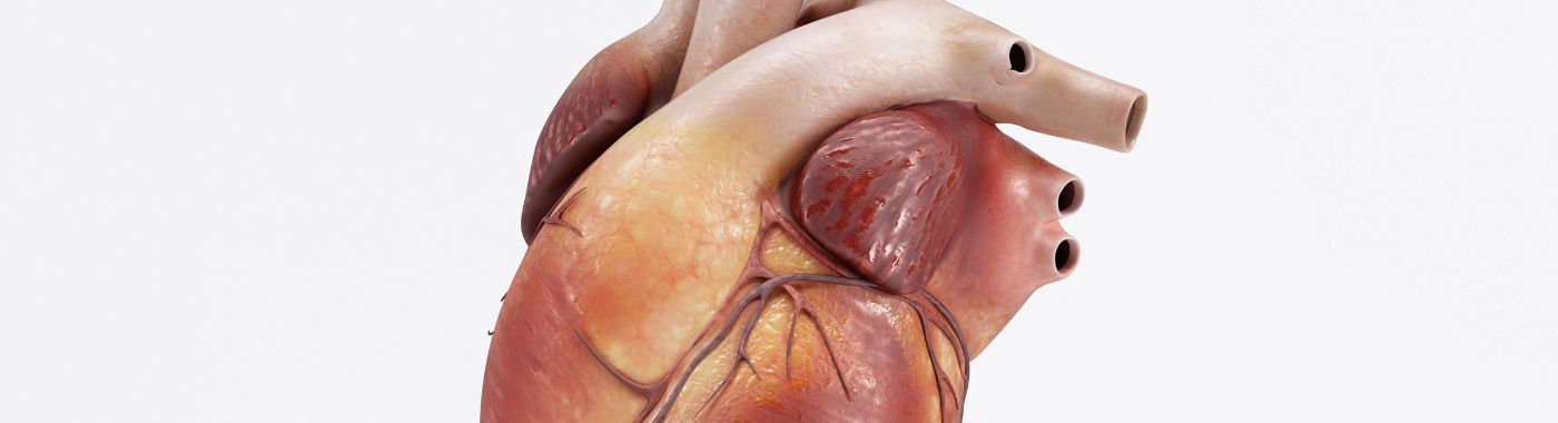 Vasospasm - Causes, Symptoms, Diagnosis, Treatment, and Prevention