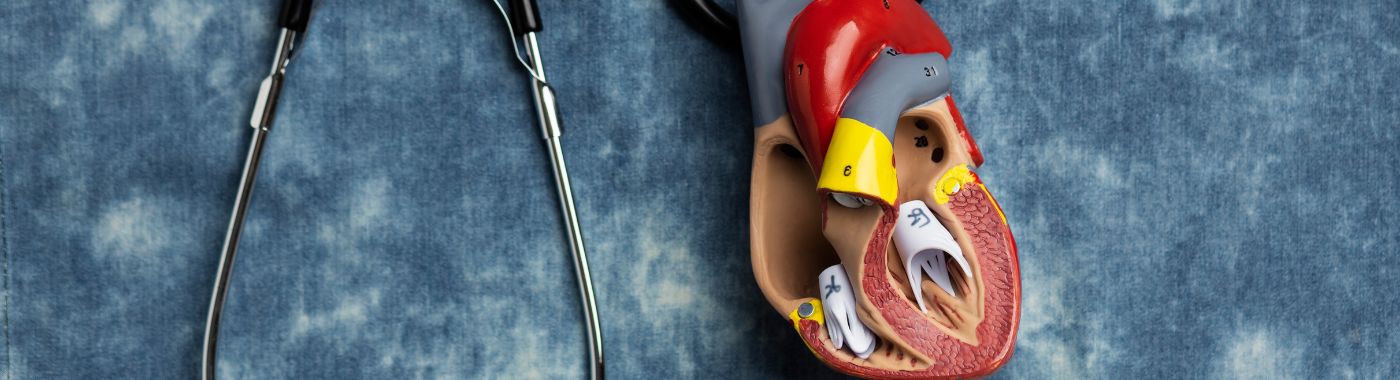 Ventricular Fibrillation - Causes, Symptoms, Diagnosis, Treatment, and Prevention