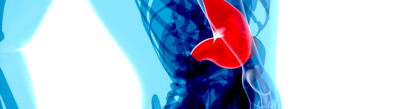 Zollinger Ellison Syndrome - Causes, Symptoms, Diagnosis, Treatment, and Prevention