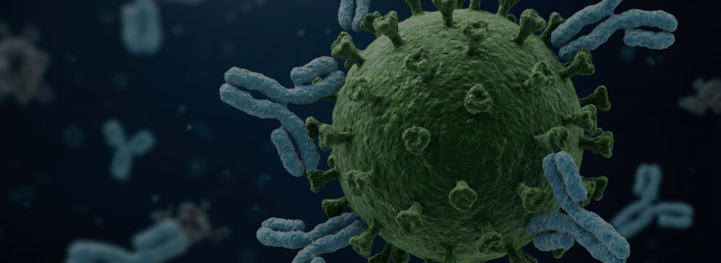 New Banner ADC Therapy