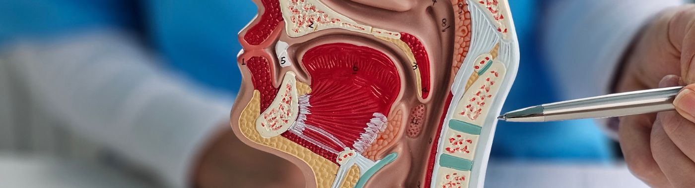 Carotid Endarterectomy - Procedures, Preparation, Cost, and Recovery
