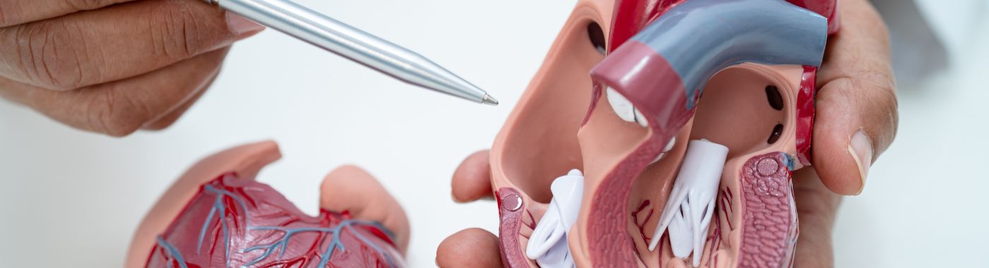 Coronary Artery Bypass Grafting (CABG) Surgery
