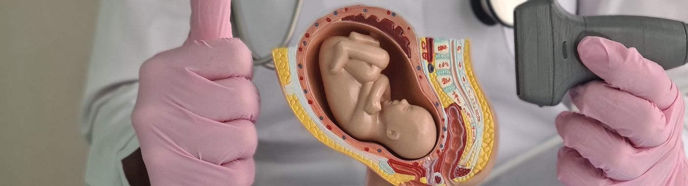 Fetoscopy - Procedures, Preparation, Cost, and Recovery