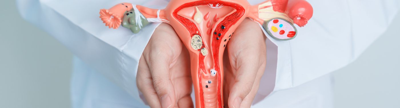 Hysterectomy - Types, Procedure, Cost in India, Risks, Recovery and Benefits