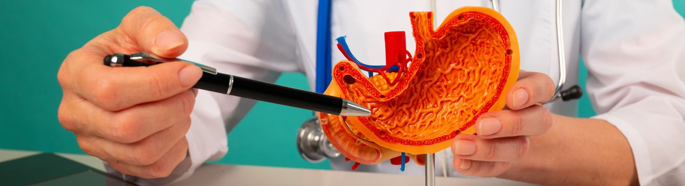 Laparoscopic Adjustable Gastric Banding (LAGB) - Procedures, Preparation, Cost, and Recovery