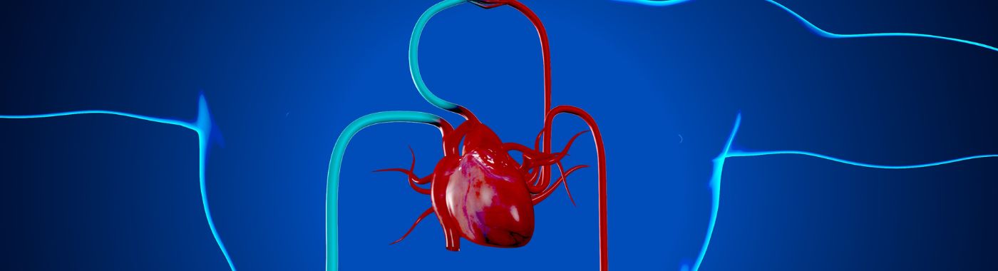 Minimally Invasive Coronary Bypass Surgery (CABG) in India