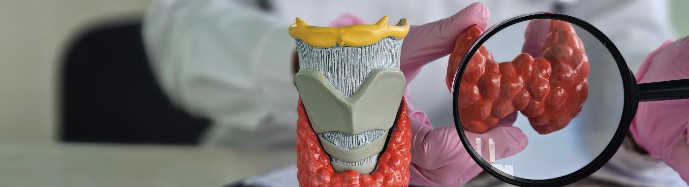 Minimally Invasive Parathyroidectomy