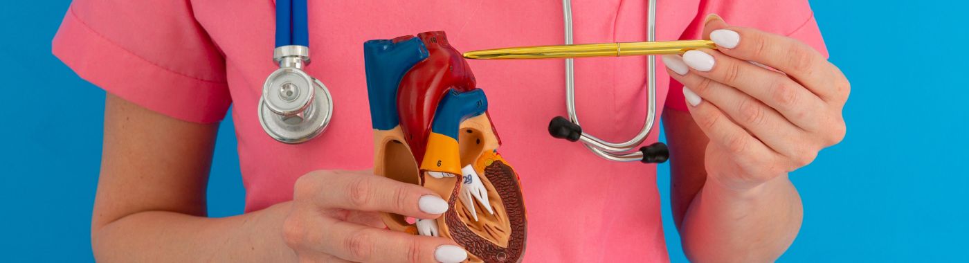 MitraClip Valve Repair - Procedures, Preparation, Cost, and Recovery