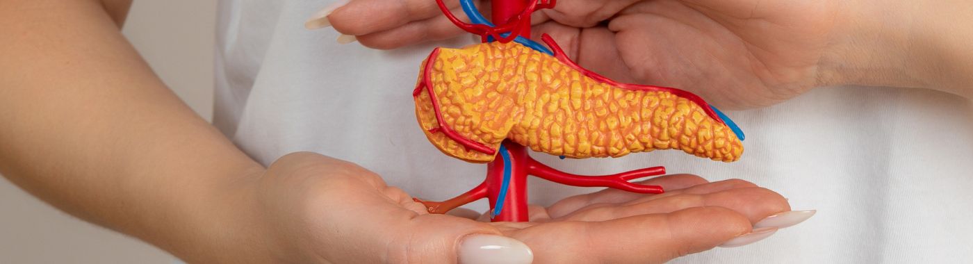 Pankreasoorplanting - Prosedures, Voorbereiding, Koste en Herstel