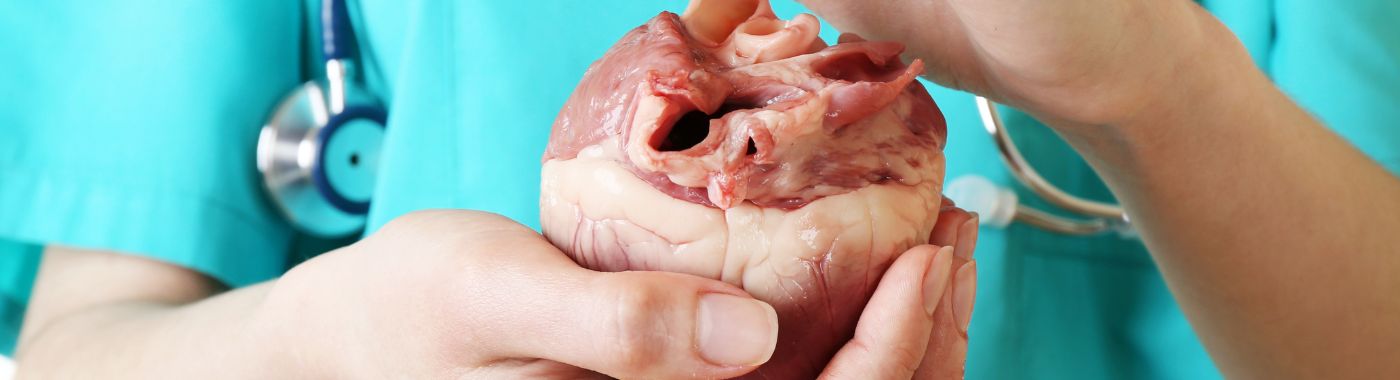 Pediatric Cardiac Surgery for Coarctation Repair- Types, Procedure, Cost in India, Risks, Recovery and benefits