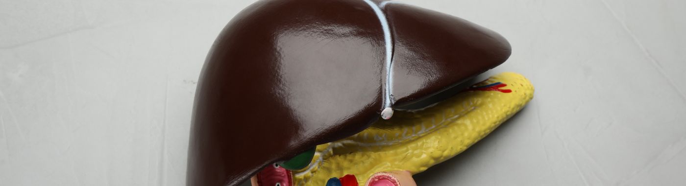 Pediatric Liver Transplant Recipient Becomes Accounting Adult