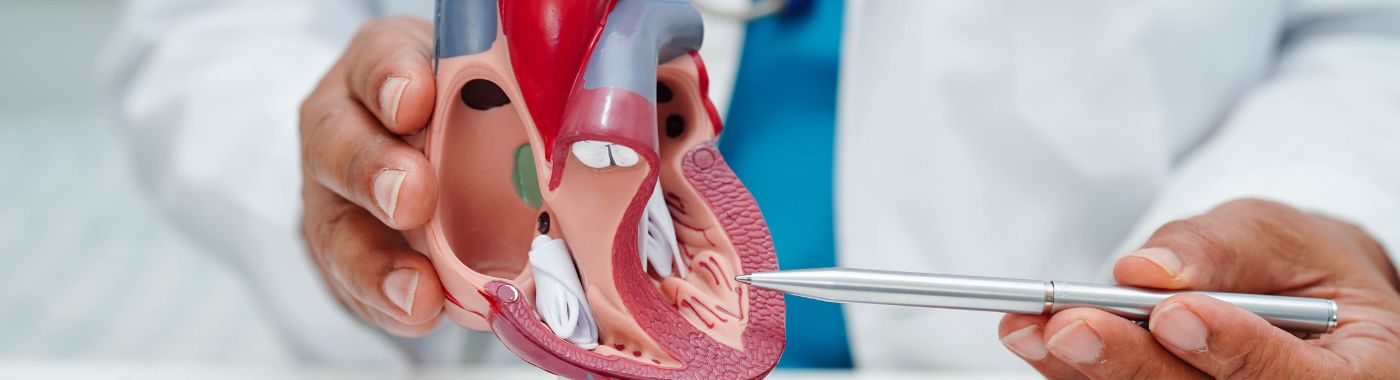 Percutaneous Mitral Valve Repair with MitraClip - Procedures, Preparation, Cost, and Recovery