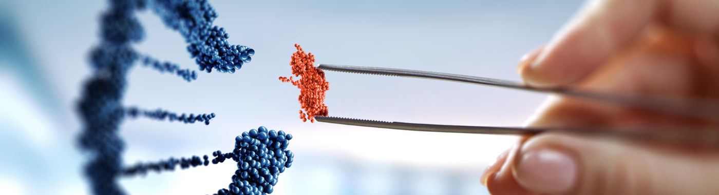 Preimplantation Genetic Diagnosis (PGD) - Procedures, Preparation, Cost, and Recovery