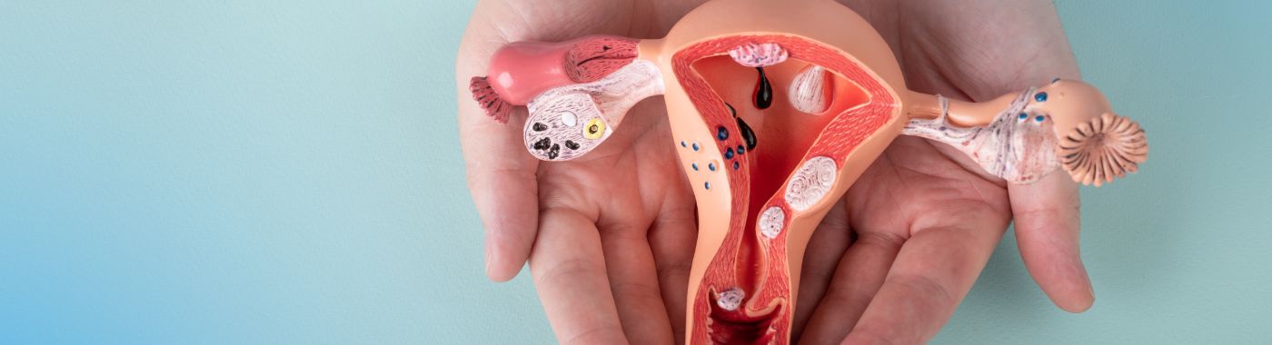 Iṣẹ́ abẹ ìgbẹ́ - Àwọn ìlànà, ìpèsè, owó àti ìwòsàn