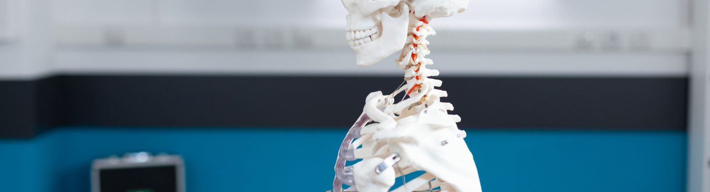 Замена искусственного шейно-поясничного диска: стоимость, показания, подготовка, риски и восстановление.