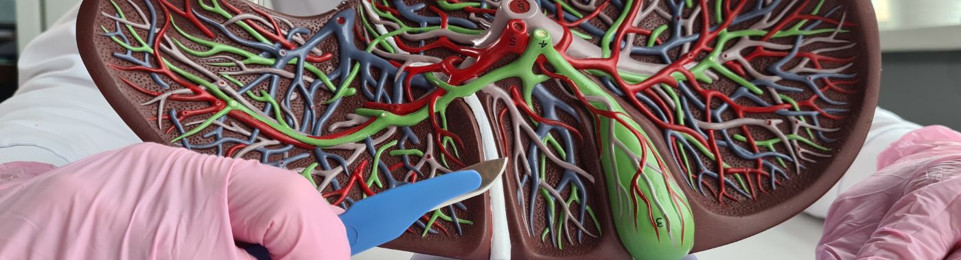 Associating Liver Partition and Portal Vein Ligation for Staged Hepatectomy (ALPPS) - Cost, Indications, Preparation, Risks, and Recovery