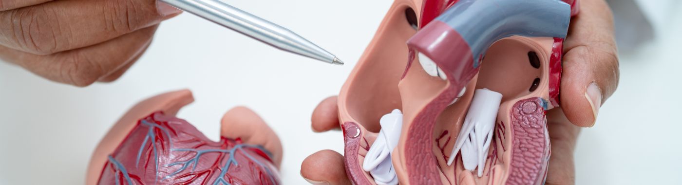 Ballongmitralklaffplastikk - Prosedyre, kostnader, risikoer og rekonvalesens