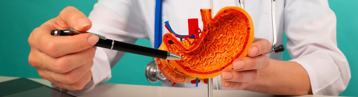 Biliopancreatic Diversion with Duodenal Switch - Cost, Indications, Preparation, Risks, and Recovery