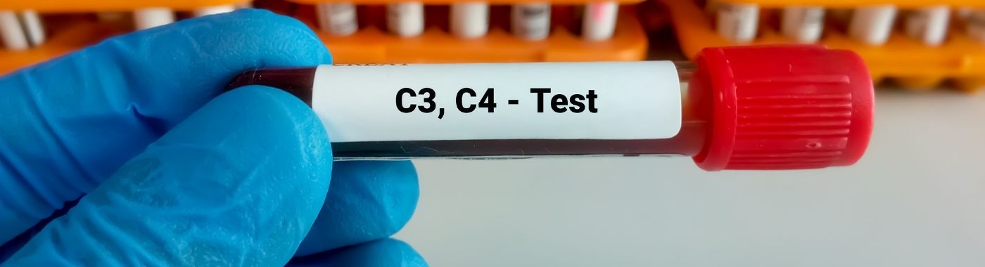 C3 Complement Blood Test