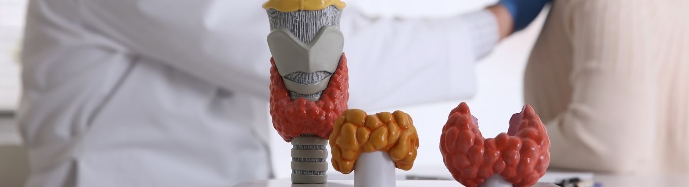Carotid Intima-Media Thickness Test