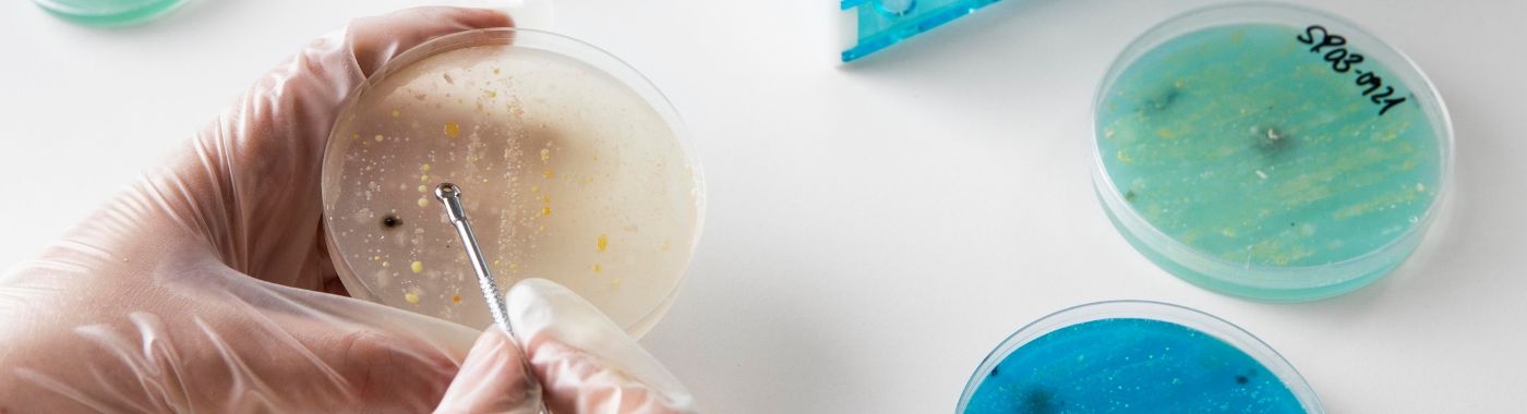 Immunohistochemistry