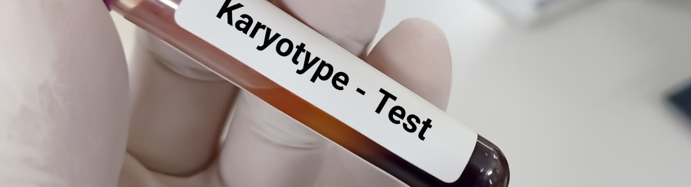Karyotype Test