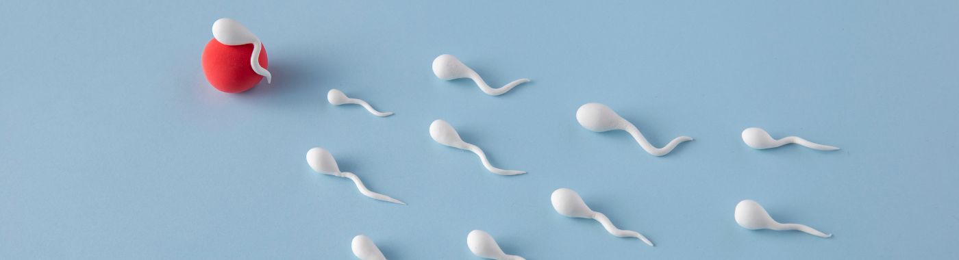 Sperm DNA Fragmentation