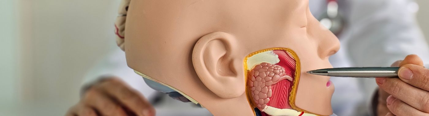 Throat Endoscopy - Procedures, Preparation, Cost, and Recovery