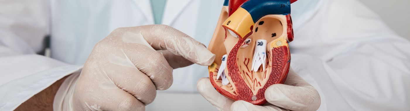 What is Anorectal Malformation Repair