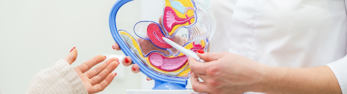 What is Artificial Urinary Sphincter Implantation