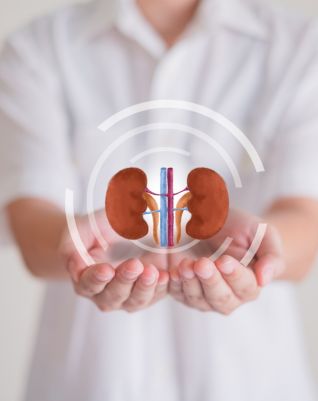 Kidney & Urinary