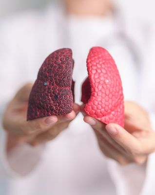 lungs