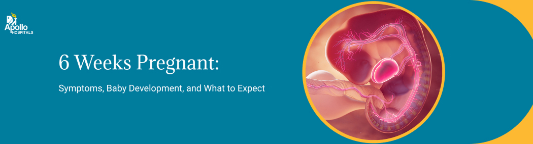 6 Weeks Pregnant: Symptoms, Baby Growth & What to Expect