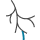 Vascular Surgery