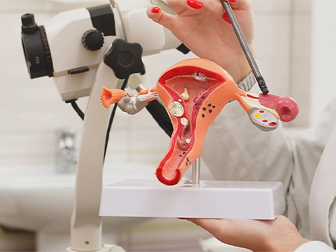 Types Of Gynecological Cancers Mob
