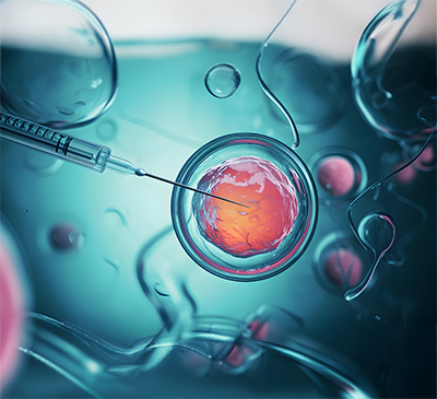 IVF thumbnail