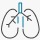 icona