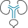 Urology